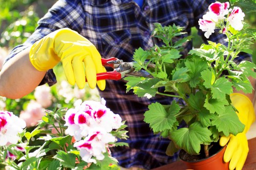 Office team reviewing a garden maintenance complaint file