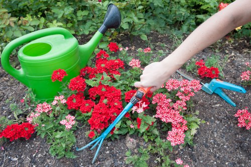 Before image of large garden clearance at suburban property