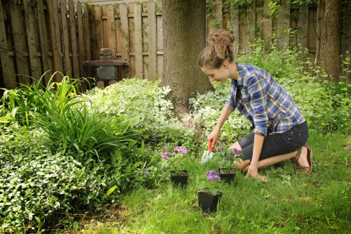Comprehensive garden maintenance services
